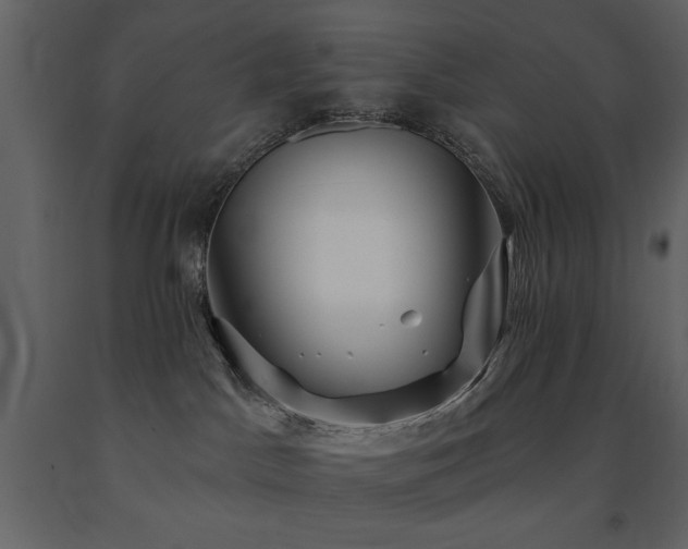 X0000091670045200708231340