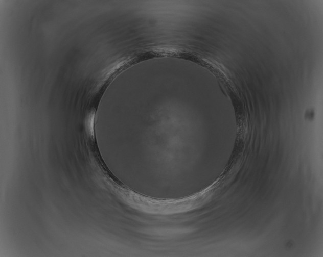X0000091670047200708231340