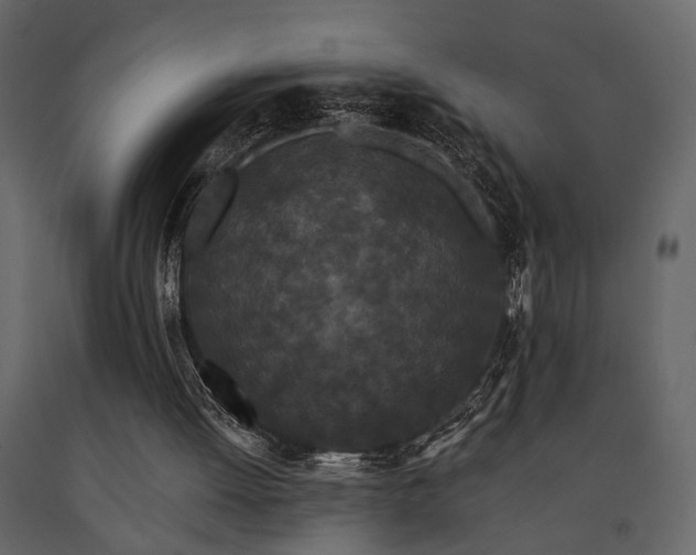 X0000091670052200708231339