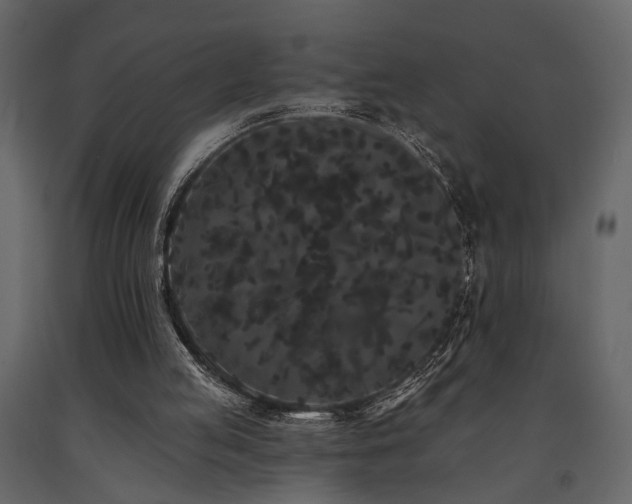 X0000091670053200708231339
