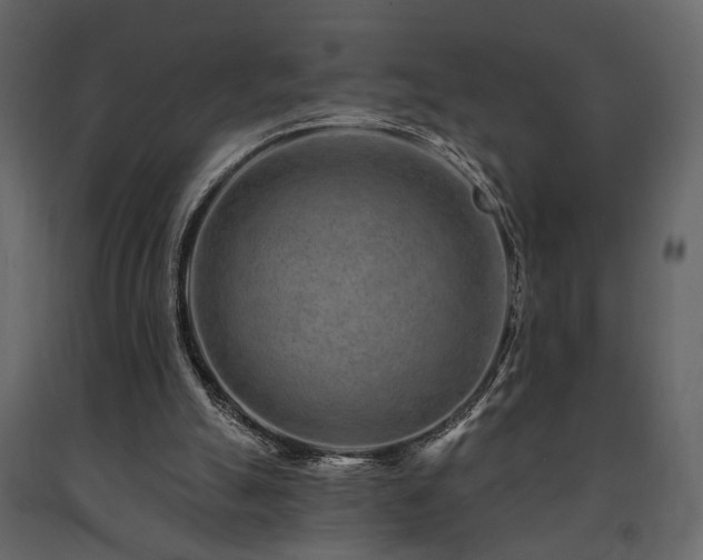 X0000091670055200708231339