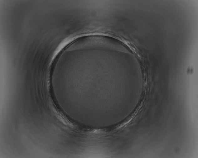 X0000091670056200708231339