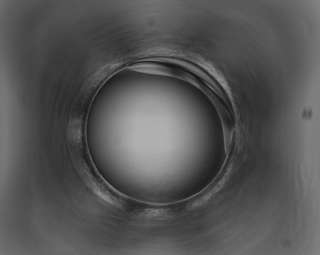 X0000091670057200708231339