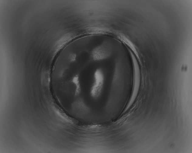 X0000091670059200708231339