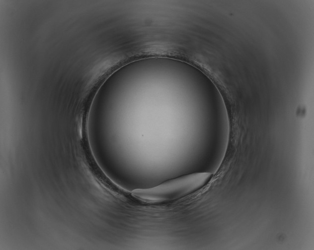 X0000091670062200708231339
