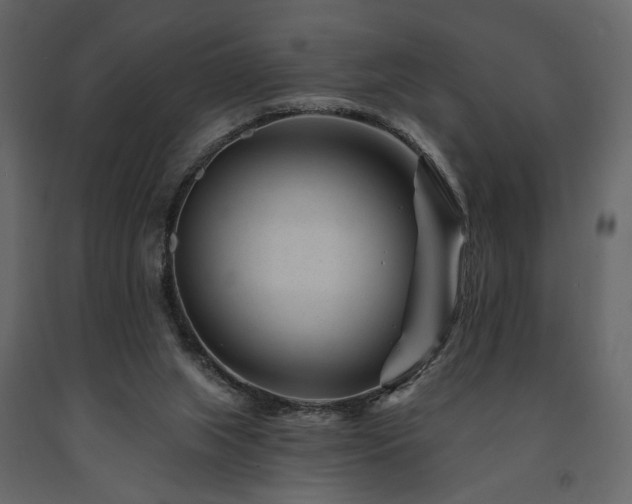 X0000091670063200708231339