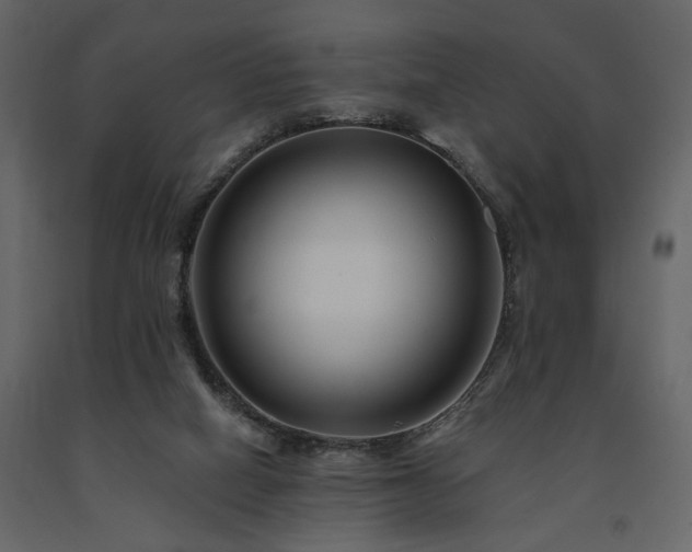 X0000091670066200708231340
