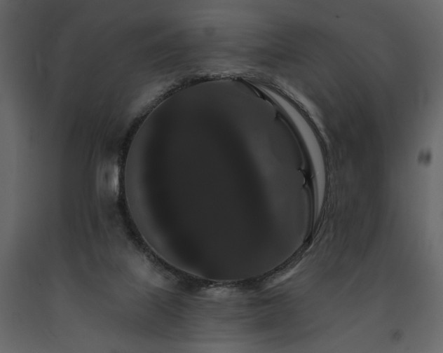 X0000091670067200708231340