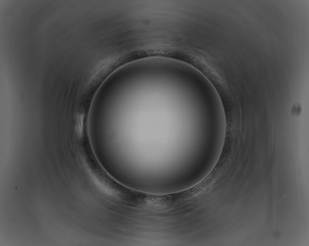 X0000091670070200708231340