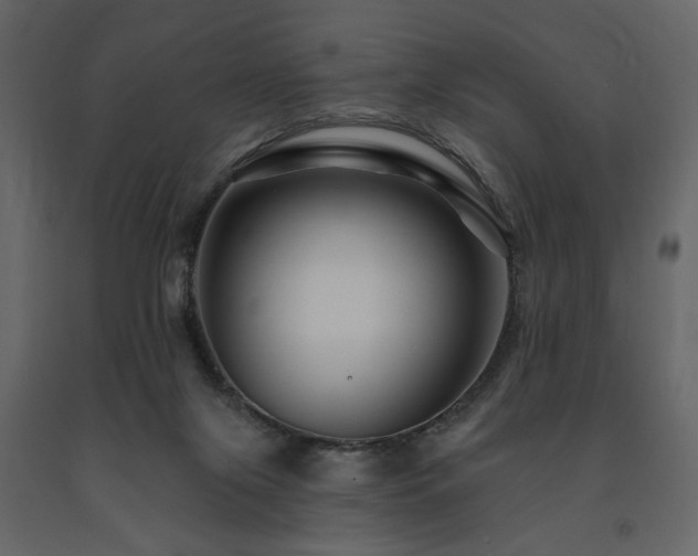 X0000091670071200708231340
