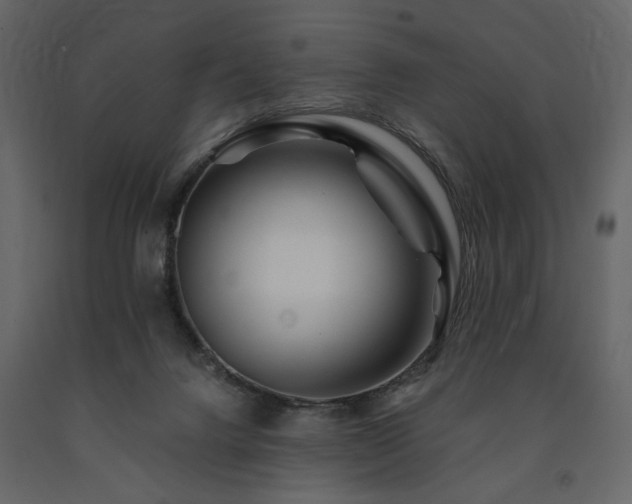 X0000091670072200708231340