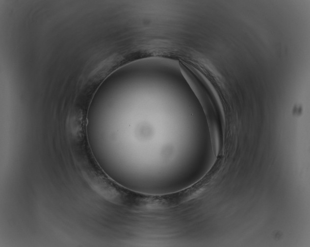 X0000091670073200708231340