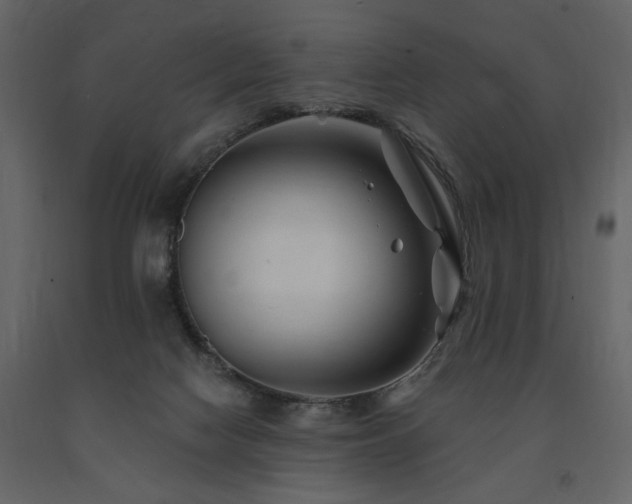 X0000091670074200708231340