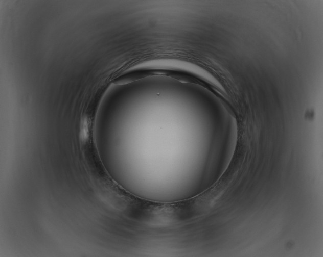 X0000091670075200708231340