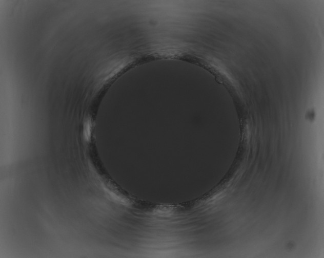 X0000091670076200708231340