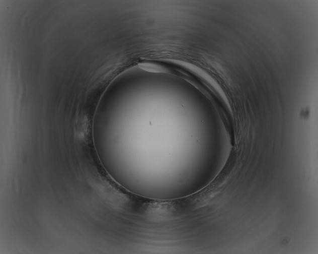 X0000091670077200708231340