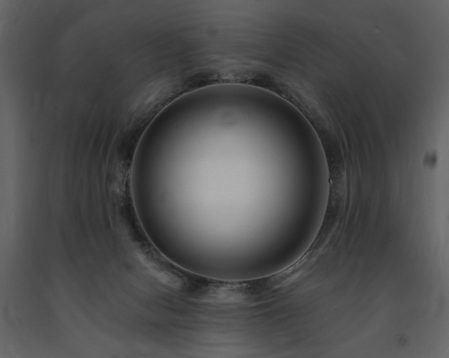 X0000091670078200708231340