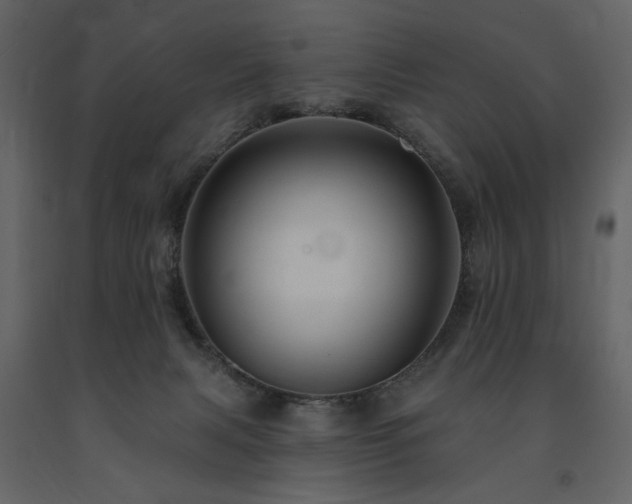 X0000091670079200708231340