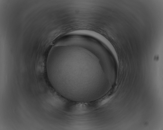 X0000091670080200708231340