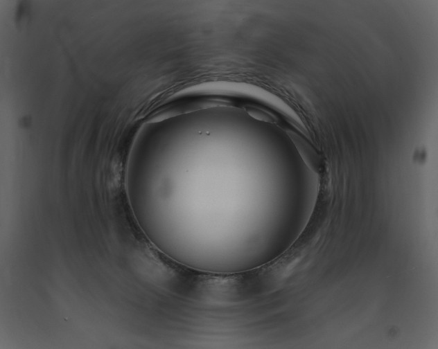 X0000091670081200708231340