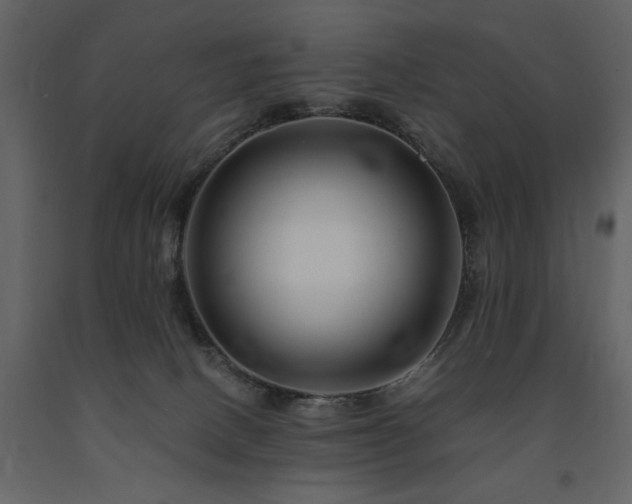 X0000091670082200708231340