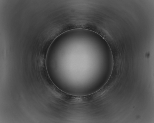 X0000091670083200708231340