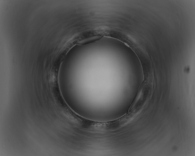 X0000091670084200708231340