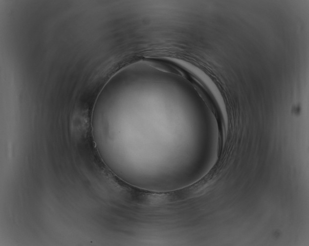 X0000091670085200708231340