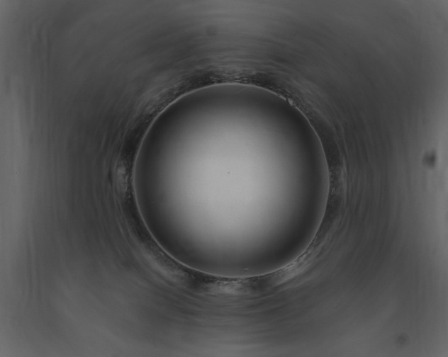 X0000091670086200708231340