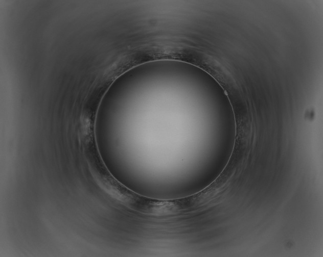 X0000091670087200708231340