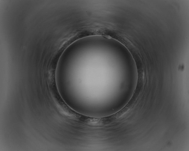 X0000091670088200708231340