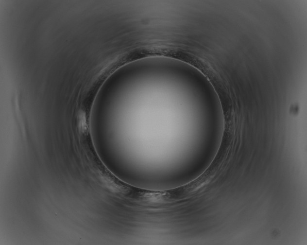 X0000091670089200708231340