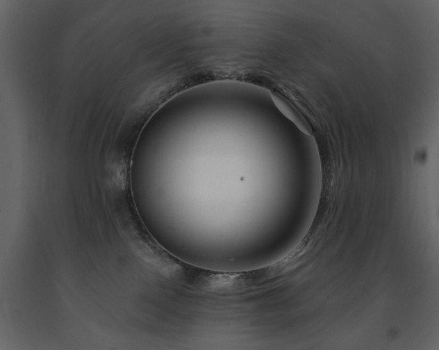 X0000091670090200708231340