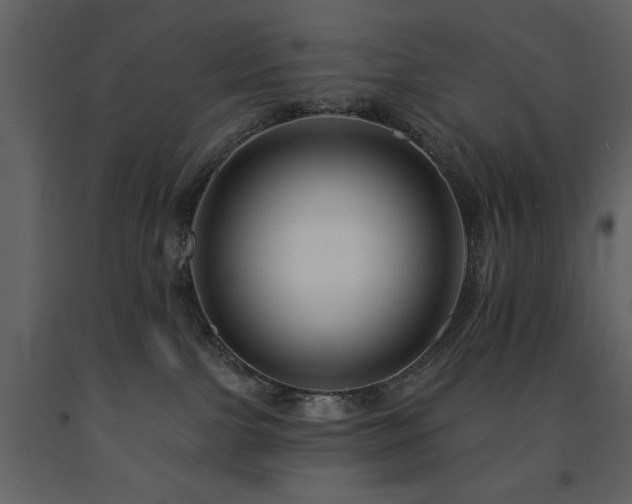X0000091670091200708231340