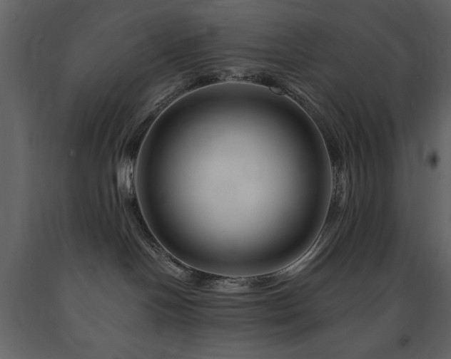X0000091670094200708231340