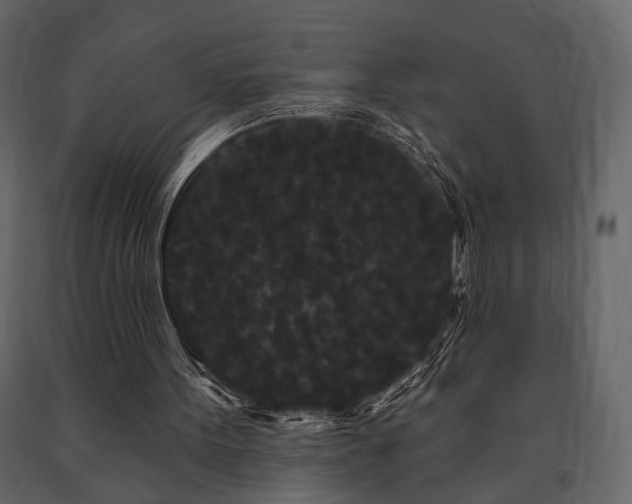 X0000091670099200708231339