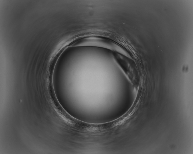 X0000091670101200708231339