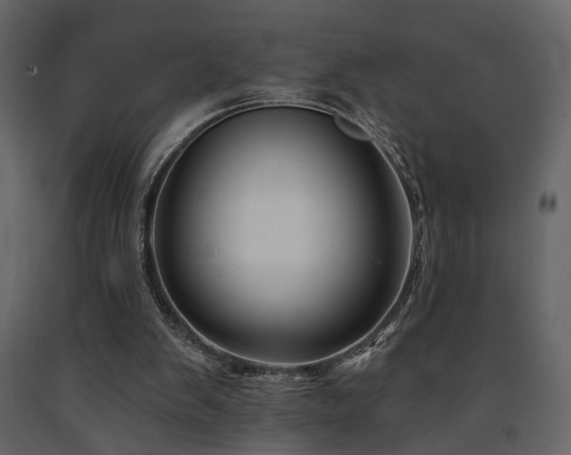 X0000091670103200708231339