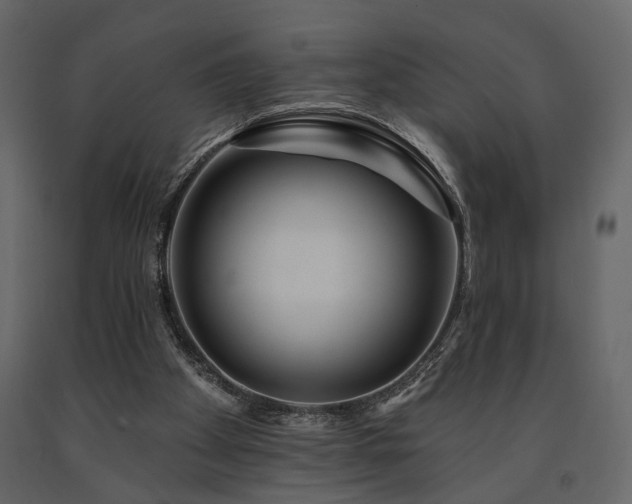 X0000091670105200708231339