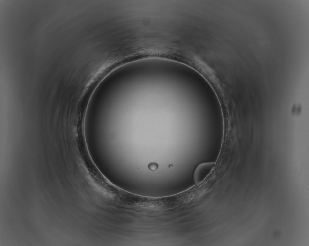 X0000091670106200708231339