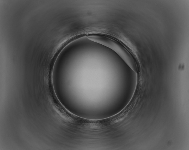 X0000091670107200708231339