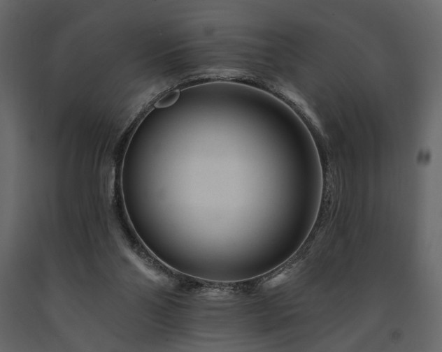 X0000091670110200708231339