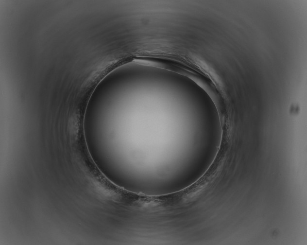 X0000091670113200708231339