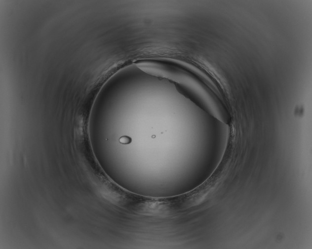 X0000091670117200708231339