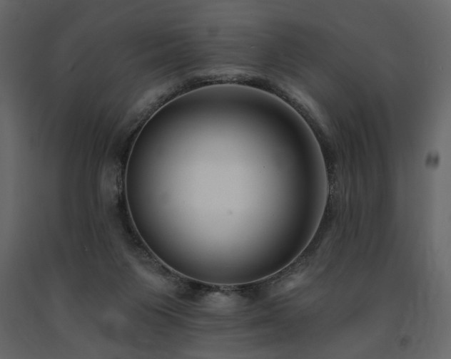 X0000091670119200708231339