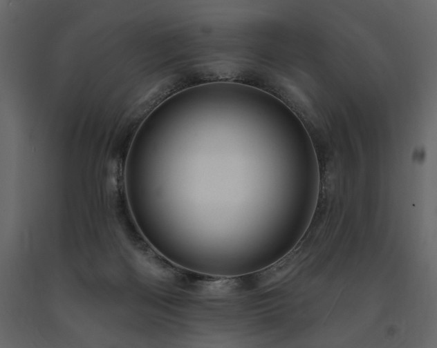 X0000091670122200708231339