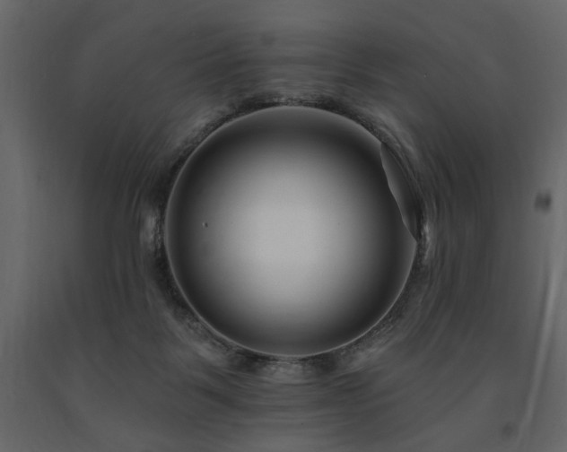 X0000091670123200708231339