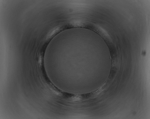 X0000091670124200708231339