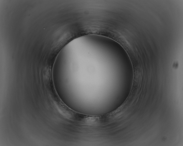 X0000091670126200708231339