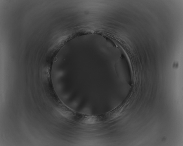 X0000091670127200708231339